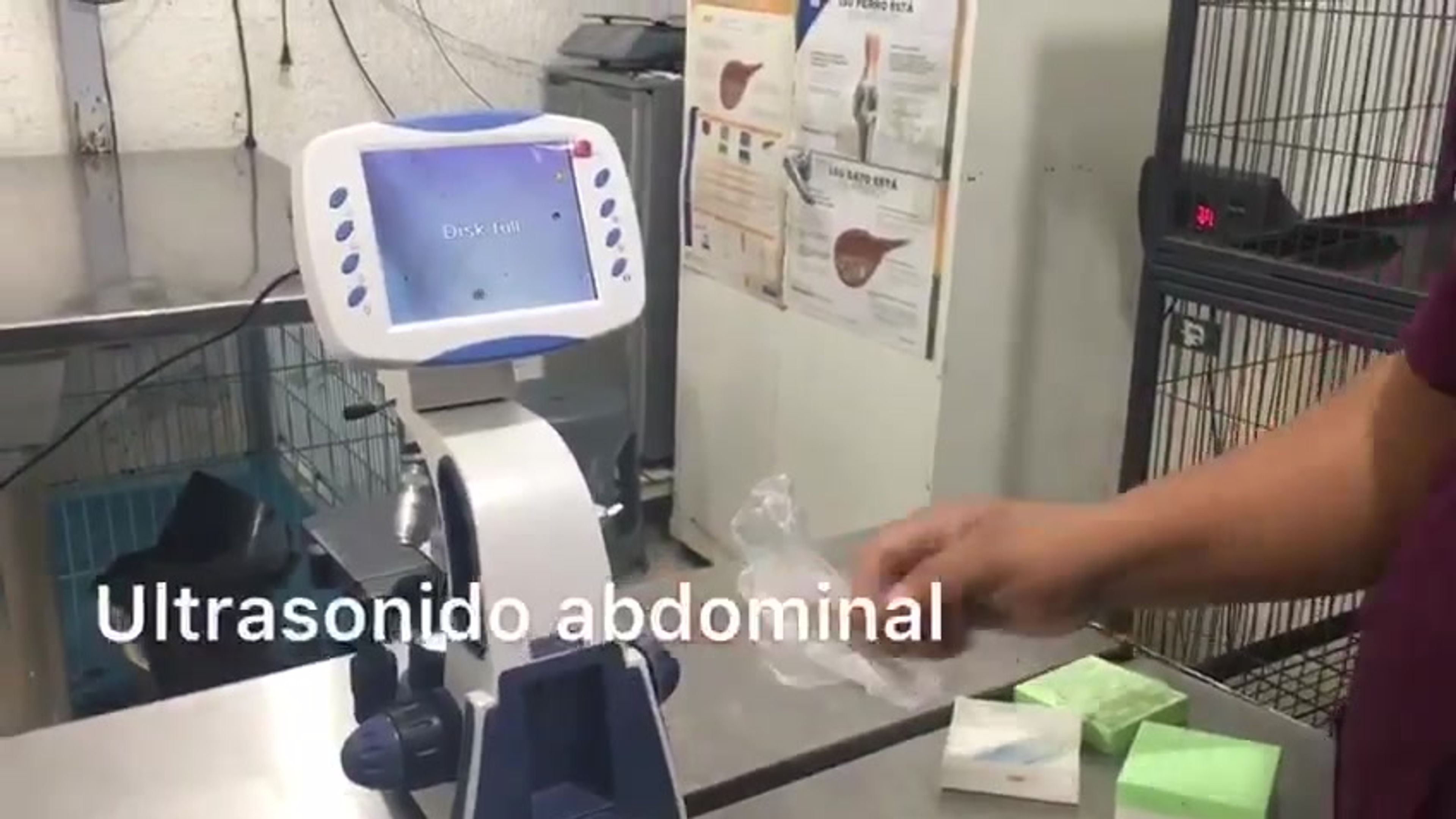 Todos los videos